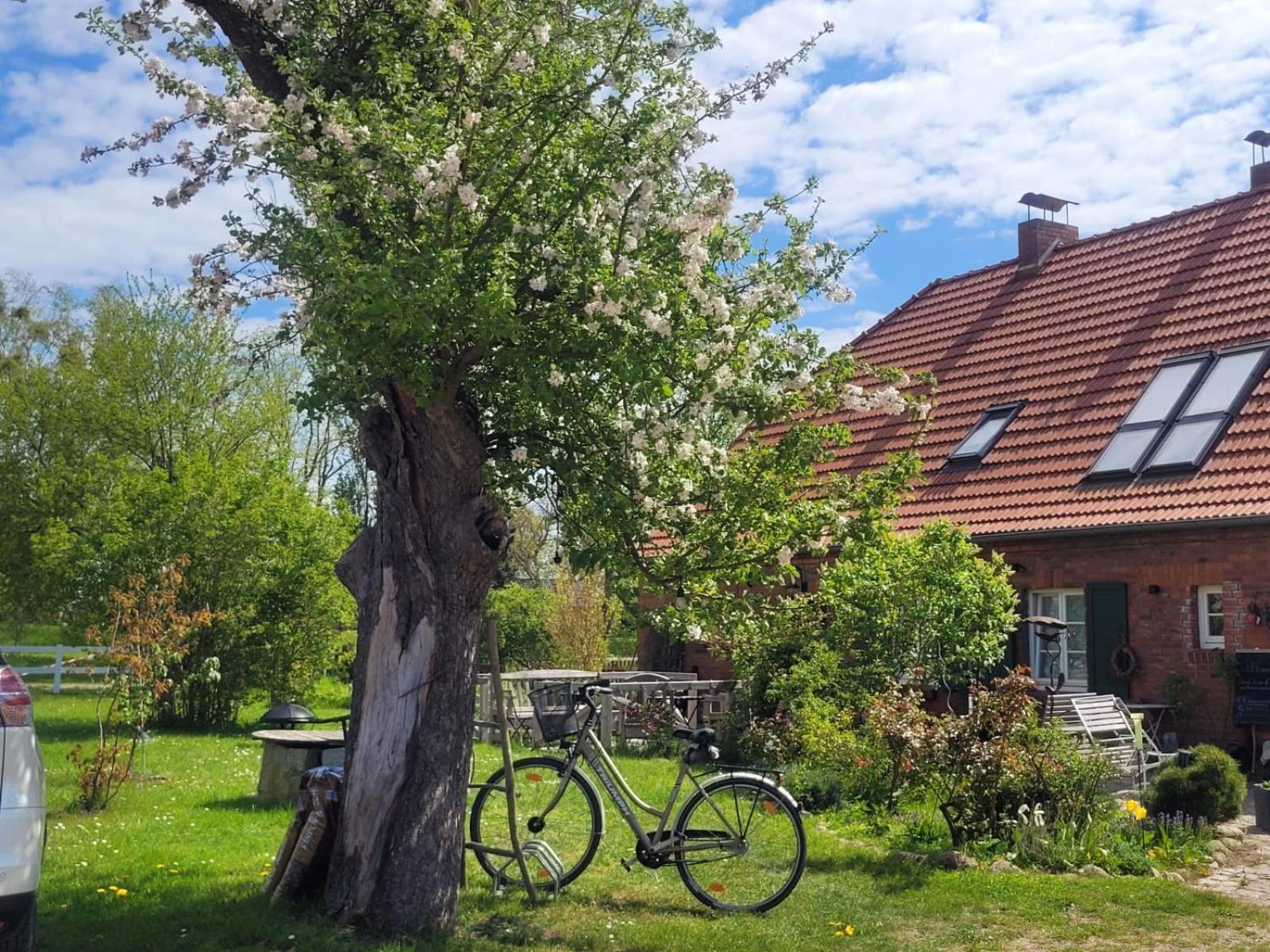 Seminar und Landhaus Schönbeck Schonbeck  Exterior foto