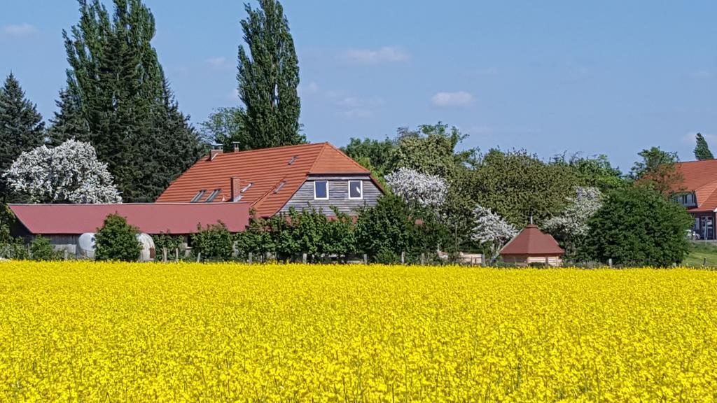 Seminar und Landhaus Schönbeck Schonbeck  Exterior foto